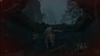 What is this? Sekiro gameplay with Master and Doc