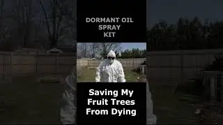 #shorts FRUIT TREE Dormant Oil Spray Season