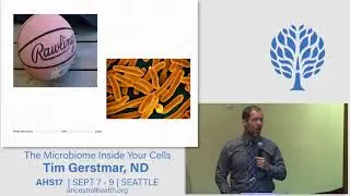 AHS17 The microbiome inside your cells - Tim Gerstmar