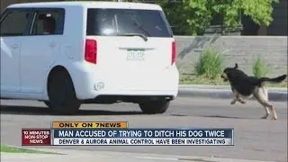 Man caught on camera trying to dump dog talks