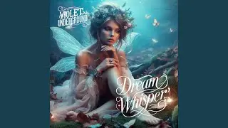 Midnight Dreams