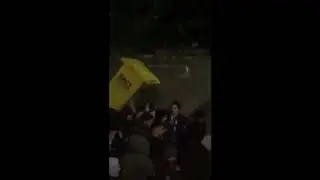 Ratten vs vuilbak