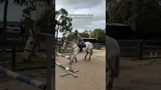 POV: that rider who thinks they know best #equestrian #horsegirls #showjumper #showjumping #horse