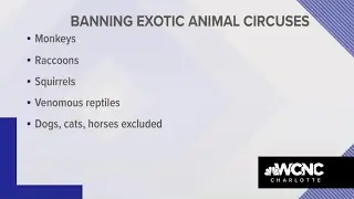 Charlotte bans exotic animal circuses