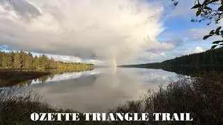 Ozette Triangle Hiking Coastal Trail, Olympic National Park. Washington, USA