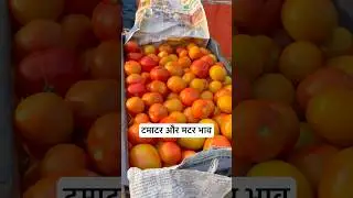 टमाटर और मटर भाव #mandibhav  #vegitablemarket  #shortvideos  #viralvideos  #shortsfeed  #shorts