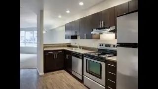 1-bedroom, The Audrey at Belltown, Seattle, WA - Available Now
