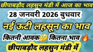 28 जनवरी 2026 छीपाबडौद मंडी का लहसुन का भाव | Aaj Ka Lahsun Ka Bhav | Garlic Rate Today