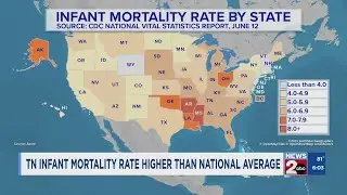 Tennessee infant mortality rate higher than national average