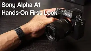 Sony Alpha A1 First Look