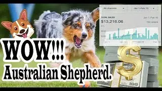 Australian Shepherd - Profitable Print on Demand Niche (TheBreedBusiness Shopify System