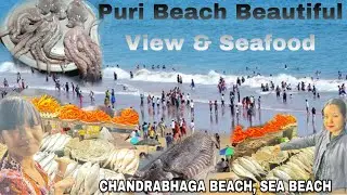 Puri Beach Beautiful View & Seafood || Odisha || CHANDRABHAGA BEACH || SEA BEACH 🏖️🏖️