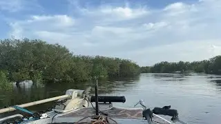 Floodplain Barramundi Part II