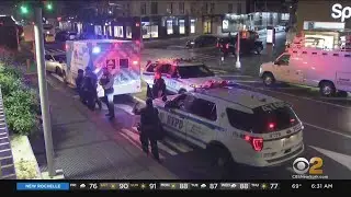 Women Slashed On 2 Train Near 96th Street Station
