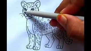 Cheetah drawing easy step by step || How to draw cheetah for beginners #cheetah #animals #drawing 