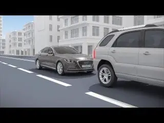 cammsys FVC 시스템