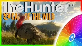 Spin the Wheel Challenge - theHunter: Call of the Wild