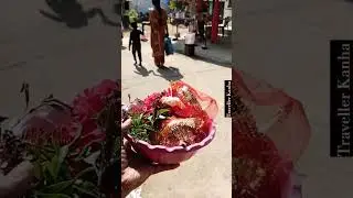 Maa Metakani Temple, Ulunda,Sonepur #trending #viral #odisha #culture #shorts #shortvlog