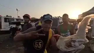 boss perry binabalik 2x kan ng mga buyer every week ! lagi kasing panalo mga manok nya!.