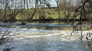 Sunny and chilly Sunday dog walk 🐕 ☀️ 🥶 Home to the fire and football later.