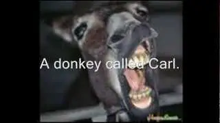 Adopt A Donkey