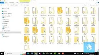 Guia Windev 28 - Aula 17 - O tipo de vari&aacute;vel DiskFile.