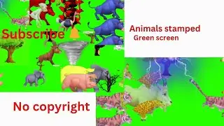 Animals stamped with nature sound effect🙂👈#green screen #chroma key#stampede