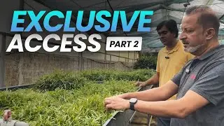 Exclusive Access! Behind The Scenes At The Still Water Aquatics Plant Farm | Part 2
