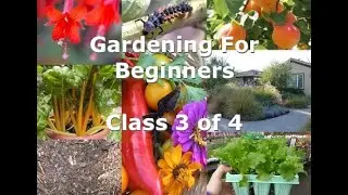 Gardening For Beginners, Class 3 of 4. Choosing Plants and Keeping Them Safe
