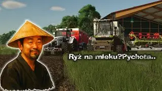 🚜Żniwa ryżu długoziarnistego ▶MOJA FARMA#59◀ 🔥Zostały trzy pola do zasiania przed zimą ✅FS25✅