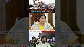 #kumki #elephant #karnataka #andhrapradesh #deputycmpawankalyan #forest #wildlife #news #newsupdate