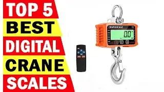 Top 5 Best Digital Crane Scales In 2025