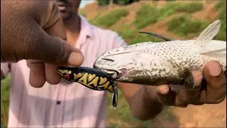 Panda Hand Made Indonesia Frog Lure | Bravvo Fishing | Snakehead Fishing #tamilsnakeheadangler