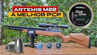 A MINHA MELHOR PCP ! ARTEMIS M22 5.5 COM SLUG RIFLE