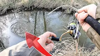 Die Fische RASTEN AUS! Was geht hier ab? Bester Kunstk&ouml;der f&uuml;r Forellen im Bach!?