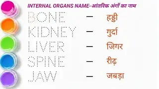 Internal body parts name | Body parts name| शरीर के अंगों के नाम | Sharir ke angon kenaam