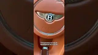 💸The Main Disadvantage of a $300,000 Bentley 🤯 #julyadubai #dubai #uae