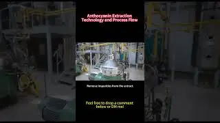 Anthocyanin Extraction: From Raw Materials to High-Purity Finished Products