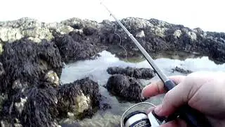 Rockpool Adventures.