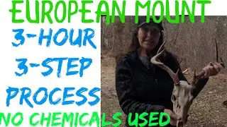 DIY European Mount: Professional Results for Under $10 #euromount #diy #deerhead #productreviews