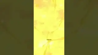 Yeni Başlayanlar İ&ccedil;in 10 Anime &Ouml;nerisi...
