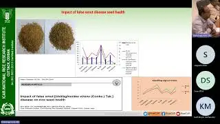 Current understanding and progress in research of Ustilaginoidea virens a global threat rice growers