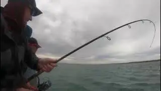 Langebaan Fishing