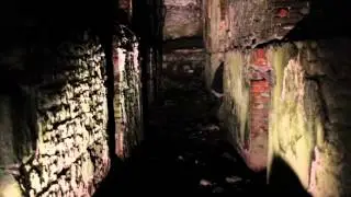 Perfectly Insane - Brian Clancy feat. Nathan Wong