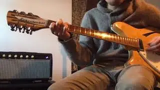 Princeton Reverb Head by Ritter Amps Part 2