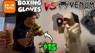 TEMU Boxing Gloves VS Real Boxing Gloves!