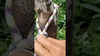 genius trick#knotrope#a#diy#handmade#camping#autdor#tutorial