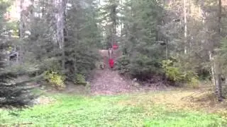 Tom on the zip line
