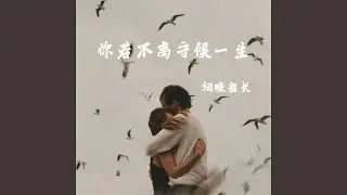 你若不离 守候一生