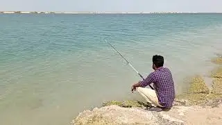 Fishing Video | Fish Hunting | New Fishing Videos 2021